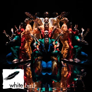 Dancers in vibrant costumes pose dynamically in symmetry on a reflective floor against a dark background. White Bird logo with feather is at bottom left.