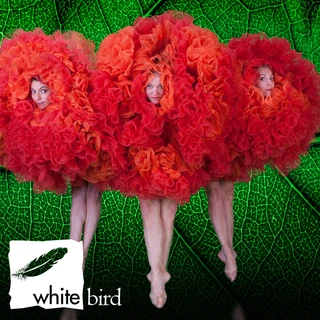 Three performers in vibrant red-orange ruffled costumes with visible faces stand against a textured green leaf background. "White Bird" logo is at bottom left.