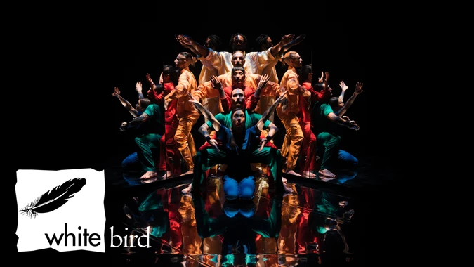 Dancers in vibrant costumes pose dynamically in symmetry on a reflective floor against a dark background. White Bird logo with feather is at bottom left.