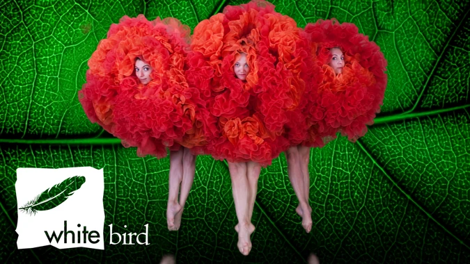 Three performers in vibrant red-orange ruffled costumes with visible faces stand against a textured green leaf background. "White Bird" logo is at bottom left.